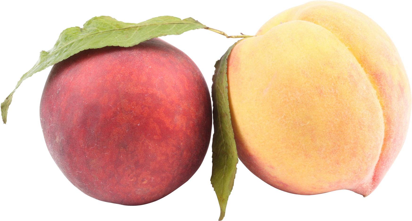 Peach - Peach (1746x936)
