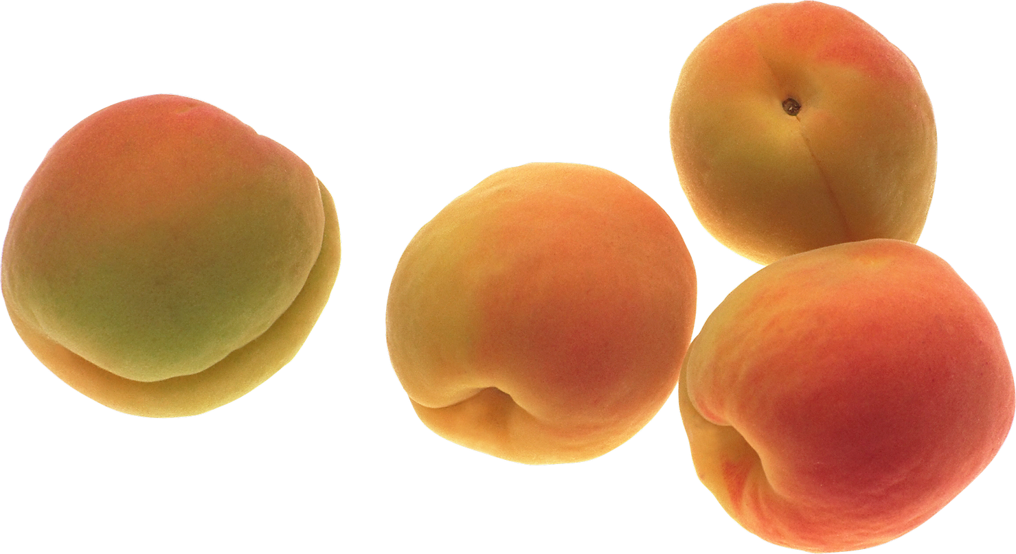 Peach - Abrikos (1479x807)