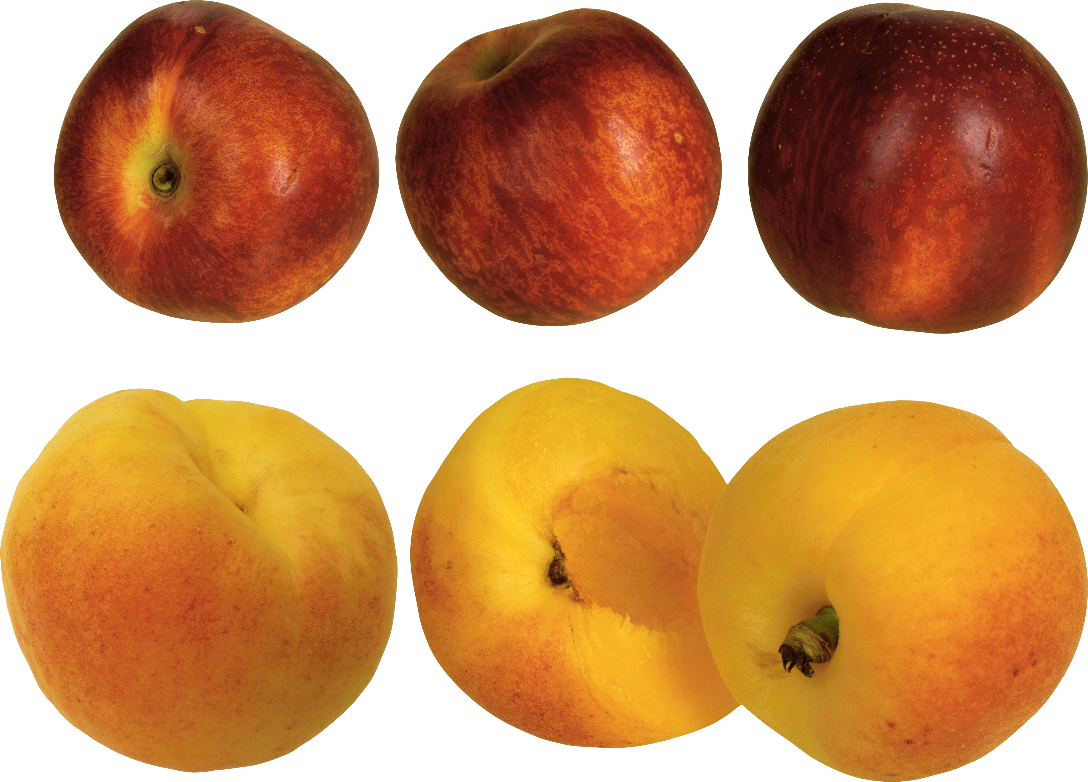 Peaches - Peach (3495x2513)