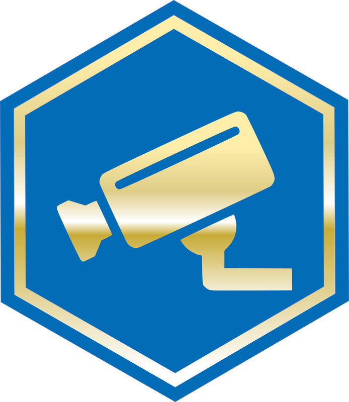 Video Forensics - Video Forensics (694x800)