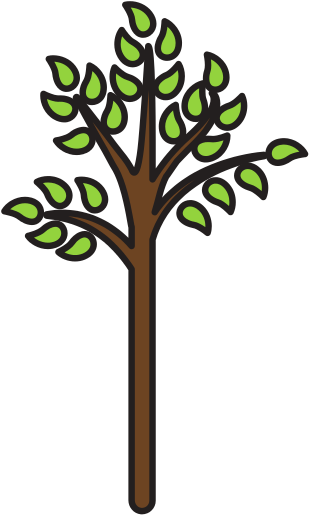 Tree Nature - Tree Nature (550x550)