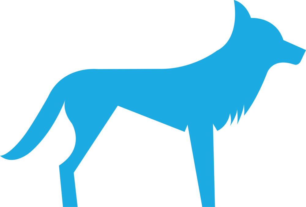 Blue Dingo - Blue Dingo (1000x678)
