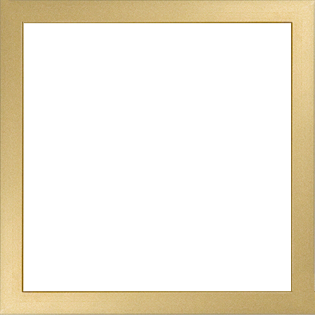 Metal Frames - Picture Frame (449x449)