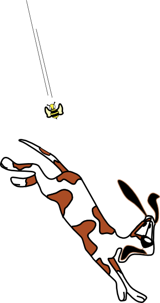Stock.xchng (312x589)