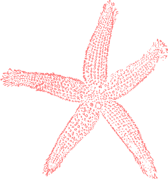 Coral With A Transparent Background (564x599)