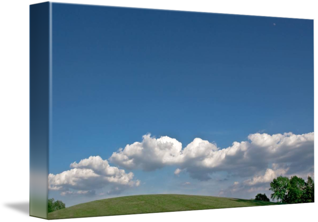 Grass (650x454)