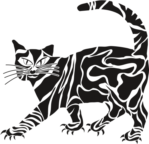 Cat (500x500)