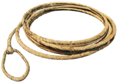 Lasso Small Loop - Lasso Transparent Png (400x400)