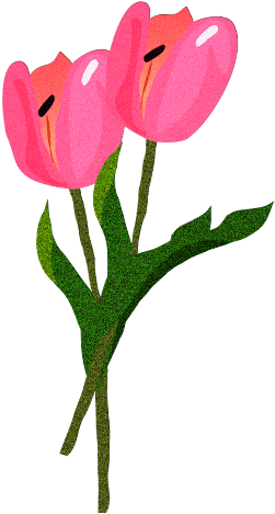 Sprenger's Tulip (526x518)