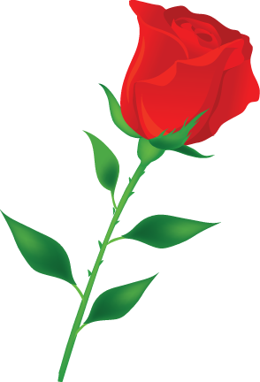 سكرايز وارد احمر ناعم 3dlat - Rosa Flor Dibujo Animado (294x432)