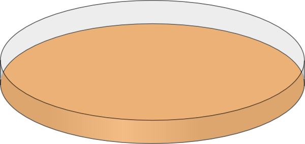 Petri Dish With Media (600x284)