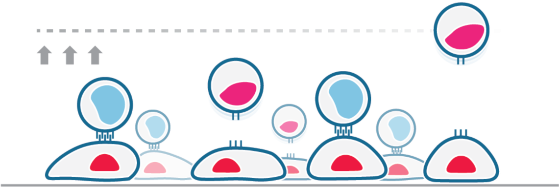 Circle (1140x532)