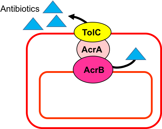 Diagram (555x429)