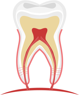 Hidroxido De Calcio Endodoncia (355x432)