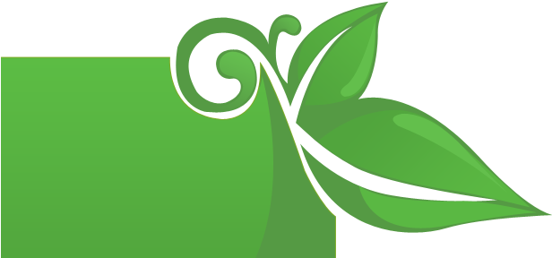 Leaf-2 - Illustration (980x420)