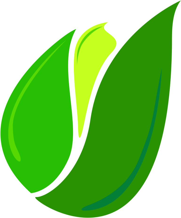   T Logo Leaf Png (1000x1050)