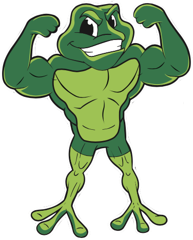 Bull Frog Clip Art (459x496)