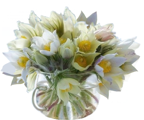 سكرابز ازهار الربيع 98707900 5a52 - Весенний Картинки Доброе Утро (485x412)