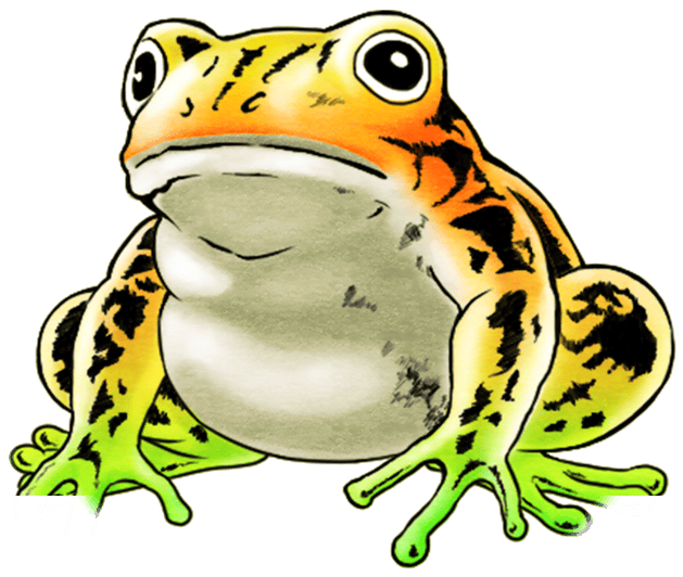 Unit Frog Big White - Frog (720x800)