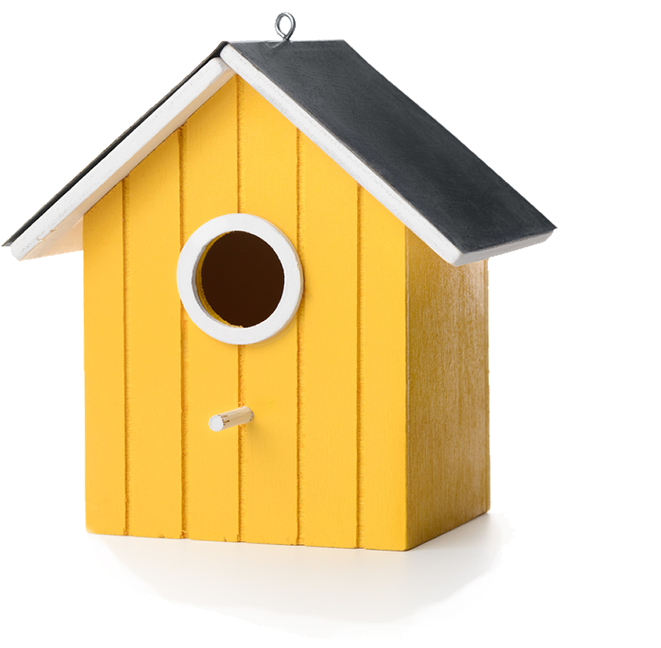 Bird Box Png (1000x1016)
