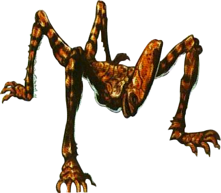Zebra Stalker - Zebra Stalker (442x386)