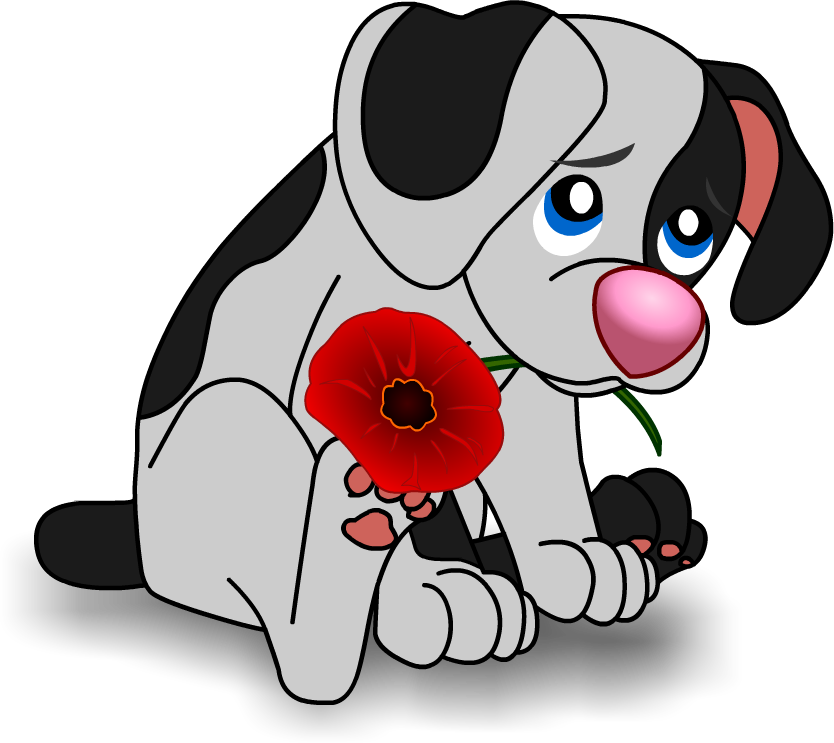 Today - Poppy (834x743)