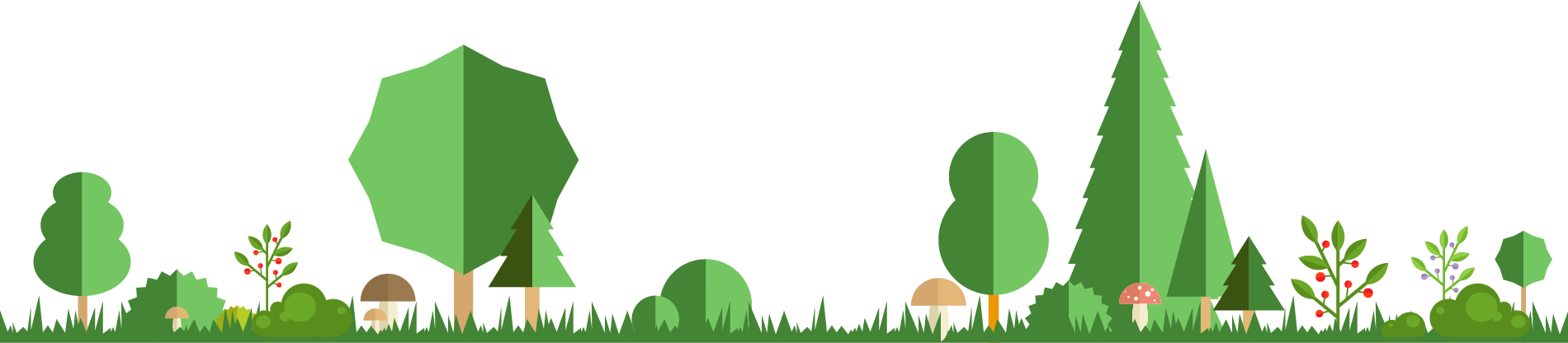 Design (1900x416)