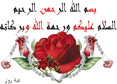 لعبة السودوكو حصرى على فتكات وبس - Rose (500x400)