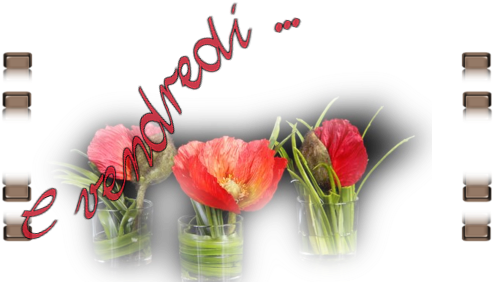 Répondre - Tulip (552x288)