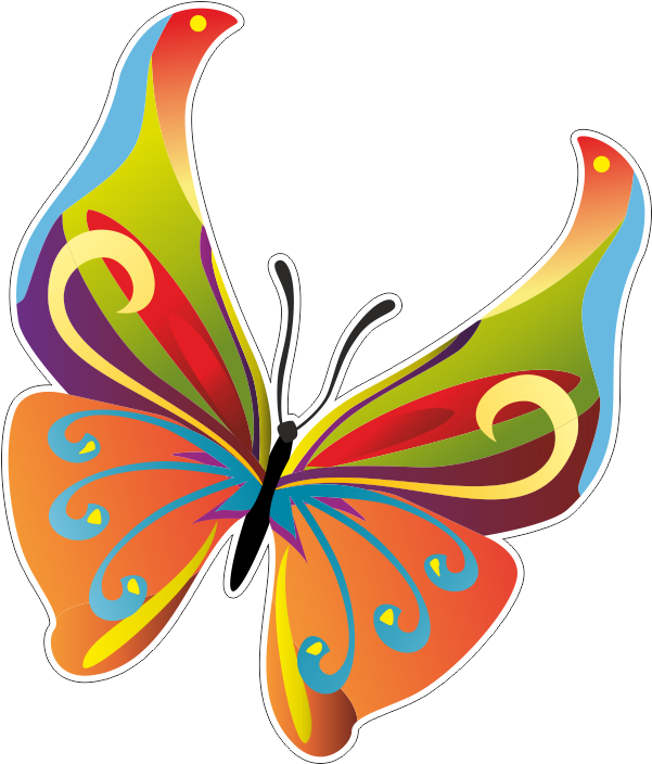 Бабочка - Butterfly Vector (800x800)