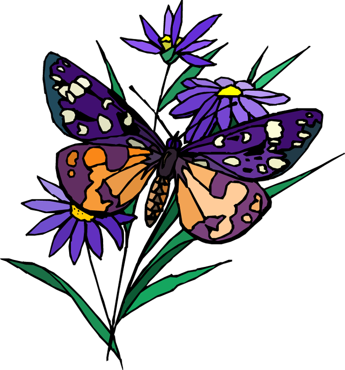 Hello Html E66e49a - Butterfly (699x750)
