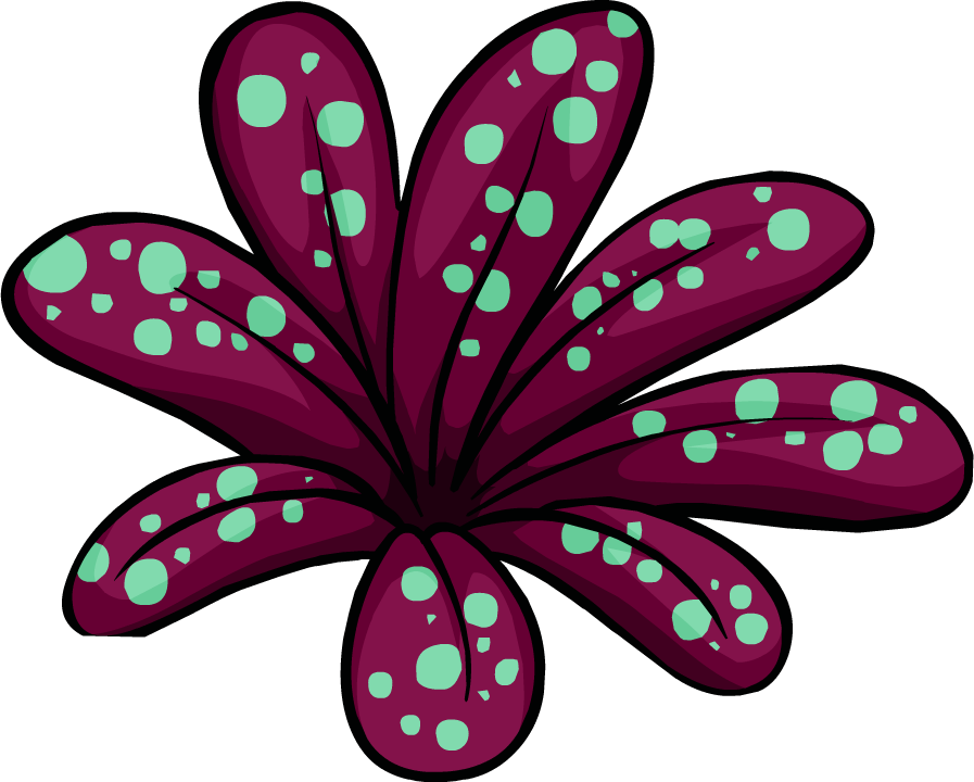 Jungle Flora - Jungle Flora (897x720)