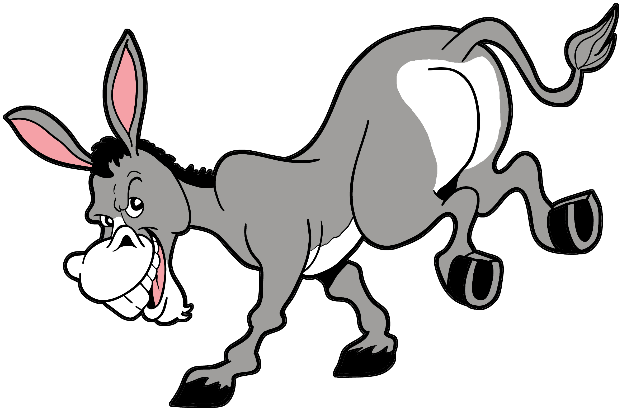 Donkey - Donkey (2370x1575)