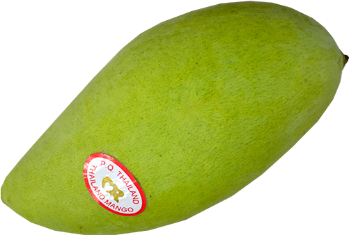 Green Mango 1pc - Mango (500x500)