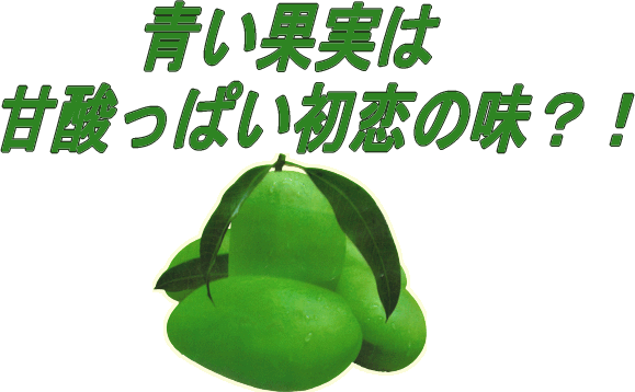 青マンゴーはさわやかな酸味！ - Mangifera Indica (579x358)