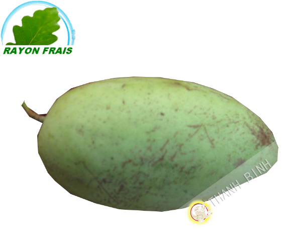 Mango (600x600)