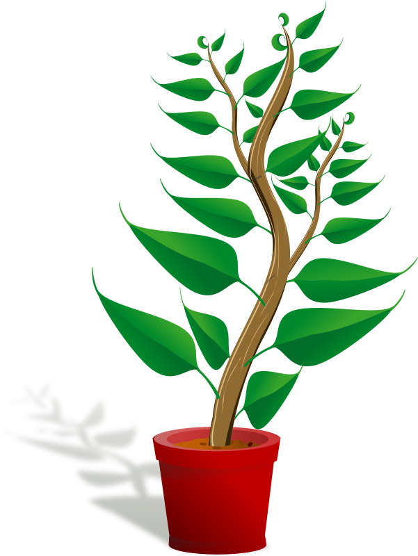 Getting To Know Plants (608x800)