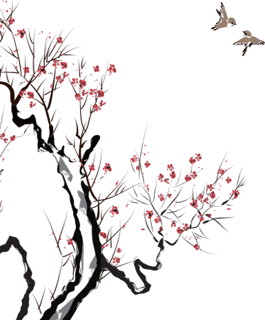 Scripture's Knowing By Dru Johnson (384x464)