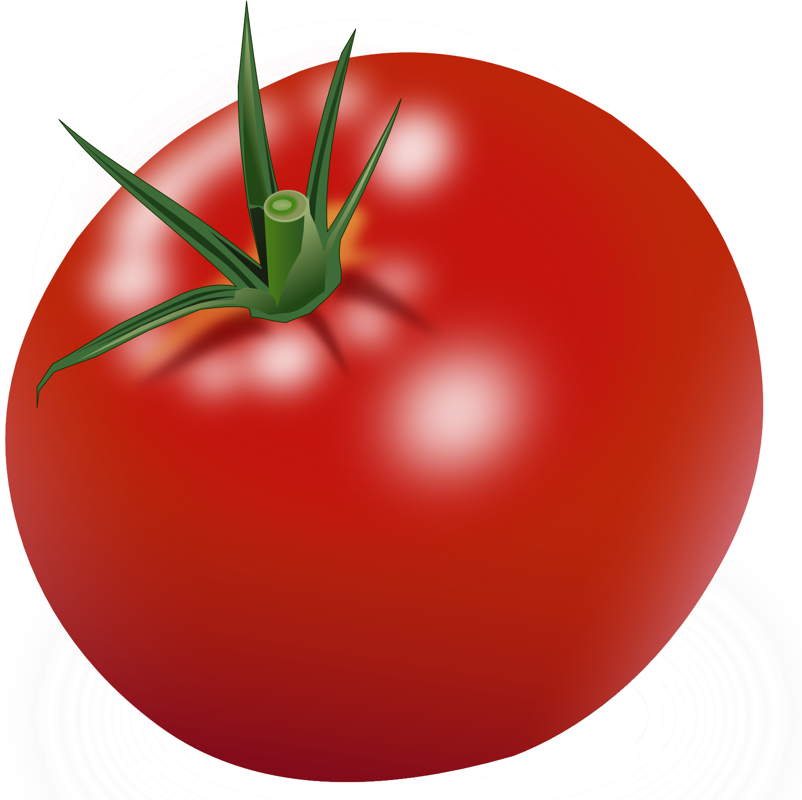 Tomato Clipart (1694x1608)