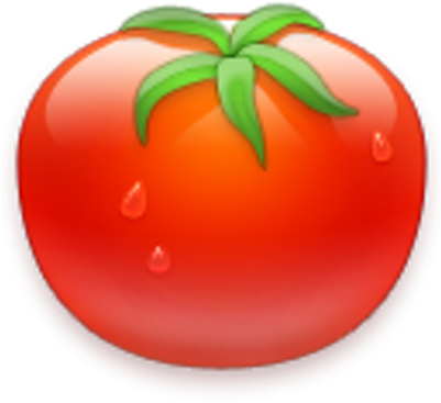 Tomato Timer - Plum Tomato (400x400)