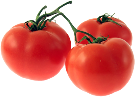 Tomato - Tomato (445x355)