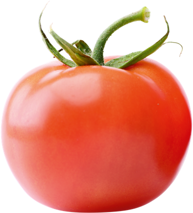 Tomatoes - Lycopersicon (500x500)