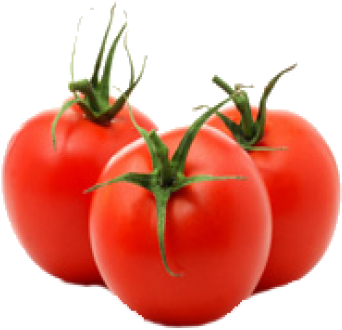 चेरी टमाटर / Cherry Tomato - 2274 Domates (370x370)