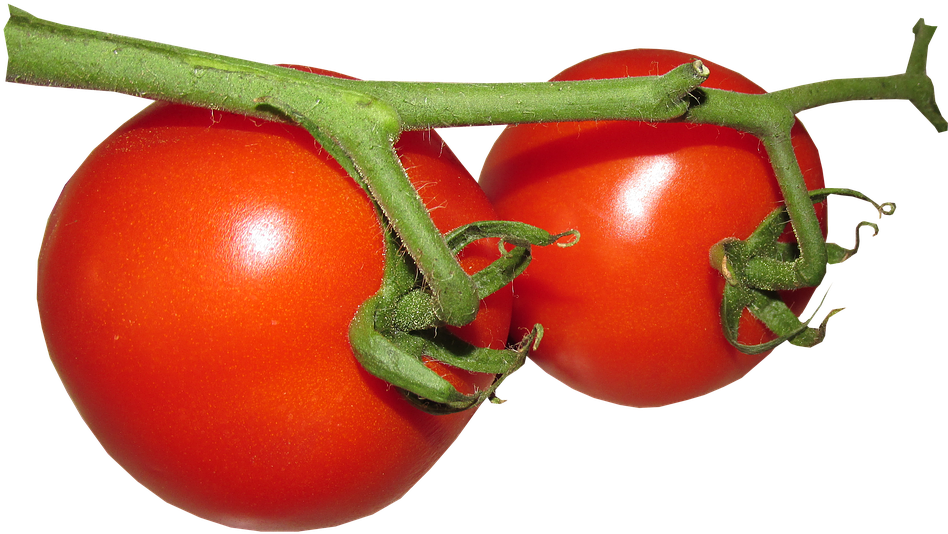 Food (960x569)