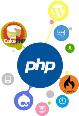 Website Design In Pune Low Cost Web Design Company - Php Development (330x400)
