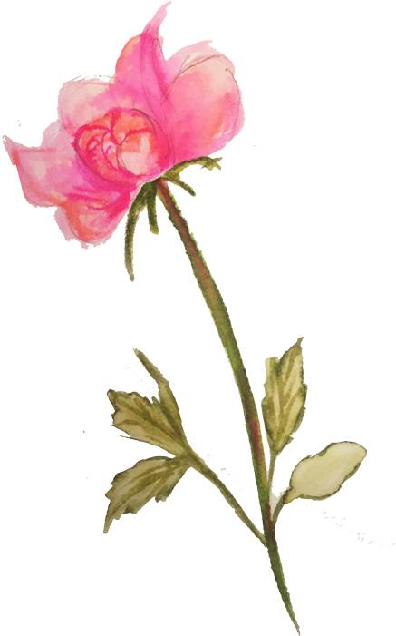 Lily (480x700)