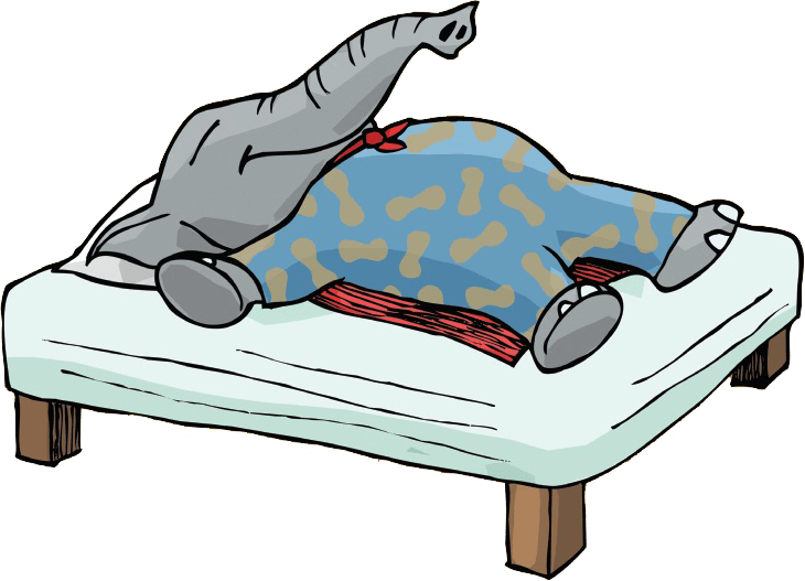 Bed Frame (730x527)