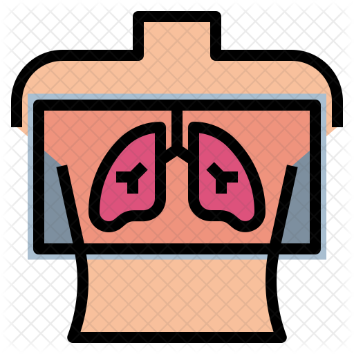 X-ray Icon - X-ray (512x512)