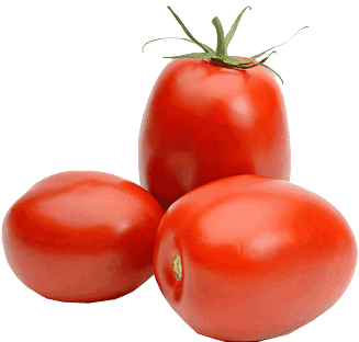 Plum - Plum Tomato (427x320)