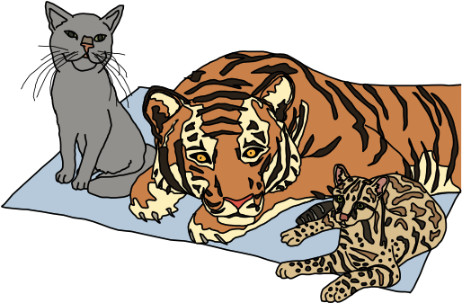 Una Introducción Para Nuevos Programadores Cat - Javascript For Cats (513x360)